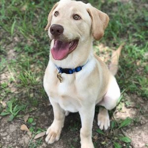 Meet your Posher, Noah